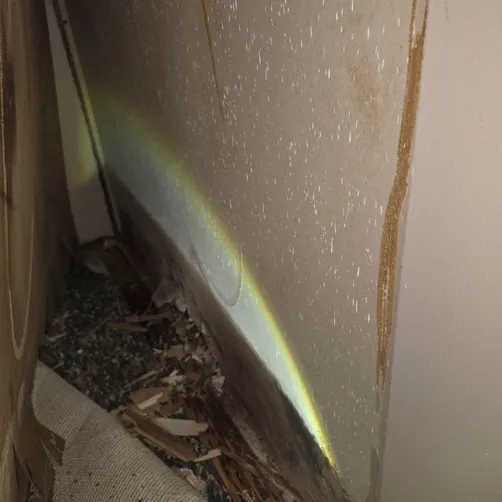photo at Valley Center, KS on Sep 30, 2026: A recent mold evaluation was conducted in the Valley Center area to ensure the home's safety and co