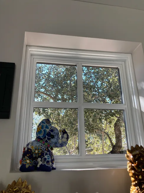 Top-notched Window Cleaners