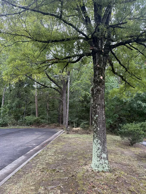 Job in Greensboro