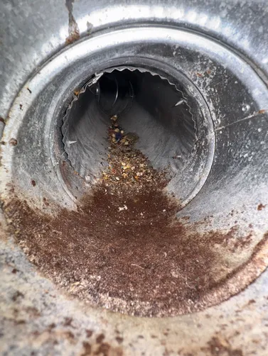 photo at Wichita, KS on Sep 23, 2026: A need for thorough air duct cleaning prompted our visit to a home in Wichita. We expertly cleaned photo at Wichita, KS on Sep 23, 2026: A need for thorough air duct cleaning prompted our visit to a home in Wichita. We expertly cleaned