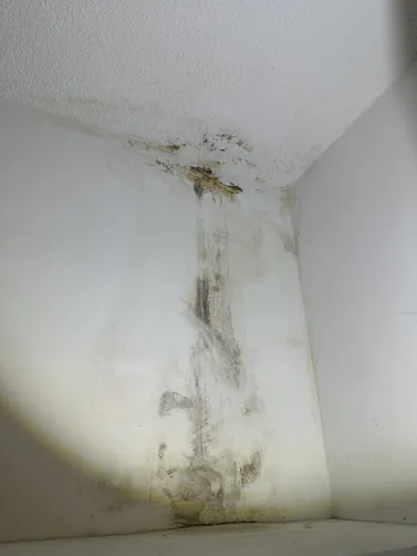 photo at Wichita, KS on Sep 15, 2026: A previous leak caused water damage, leading to a mold issue in the home. We performed thorough mol photo at Wichita, KS on Sep 15, 2026: A previous leak caused water damage, leading to a mold issue in the home. We performed thorough mol