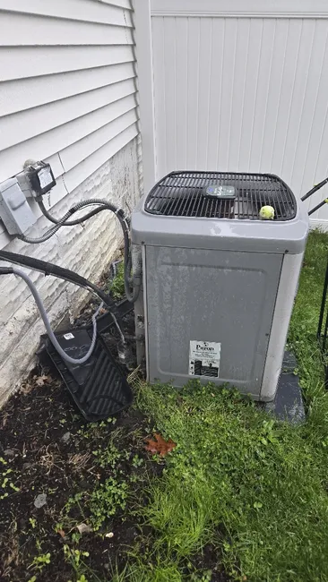 Job in Wayzata