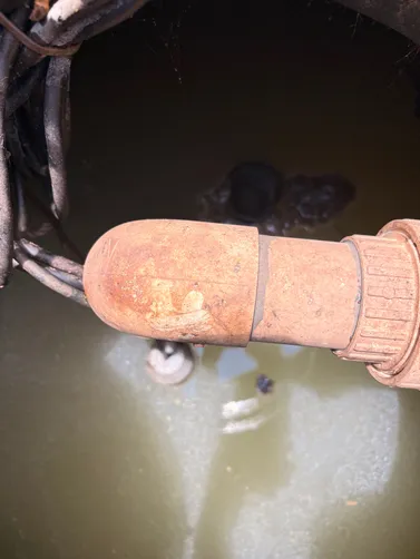 photo at Hendersonville, TN on Jun 23, 2026: A thick septic tank required attention, as it had not been pumped in over a decade. We expertly pum photo at Hendersonville, TN on Jun 23, 2026: A thick septic tank required attention, as it had not been pumped in over a decade. We expertly pum