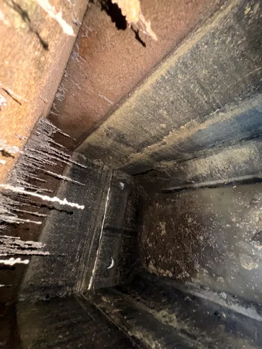photo at Nashville, TN on Jun 05, 2026: A septic inspection was conducted to ensure the system's proper functioning. We pumped the septic s photo at Nashville, TN on Jun 05, 2026: A septic inspection was conducted to ensure the system's proper functioning. We pumped the septic s