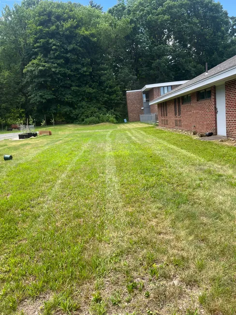 Thorough mowing and precise trimming revitalized the yard, showcased with before and after photos for the homeowner.