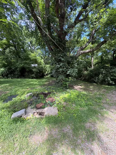 photo at Nashville, TN on Jun 15, 2026: A septic tank pump was necessary for maintaining the system's functionality. We efficiently pumped photo at Nashville, TN on Jun 15, 2026: A septic tank pump was necessary for maintaining the system's functionality. We efficiently pumped