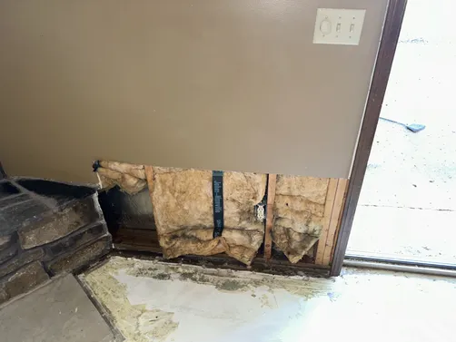 photo at Derby, KS on Sep 21, 2026: After removing the carpet in the basement, we discovered mold around the baseboards in several area photo at Derby, KS on Sep 21, 2026: After removing the carpet in the basement, we discovered mold around the baseboards in several area