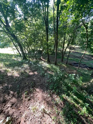 photo at Portland, TN on Jun 04, 2026: To improve drainage in the area, we installed an 18”x20’ plastic culvert and cleared the creek bed photo at Portland, TN on Jun 04, 2026: To improve drainage in the area, we installed an 18”x20’ plastic culvert and cleared the creek bed