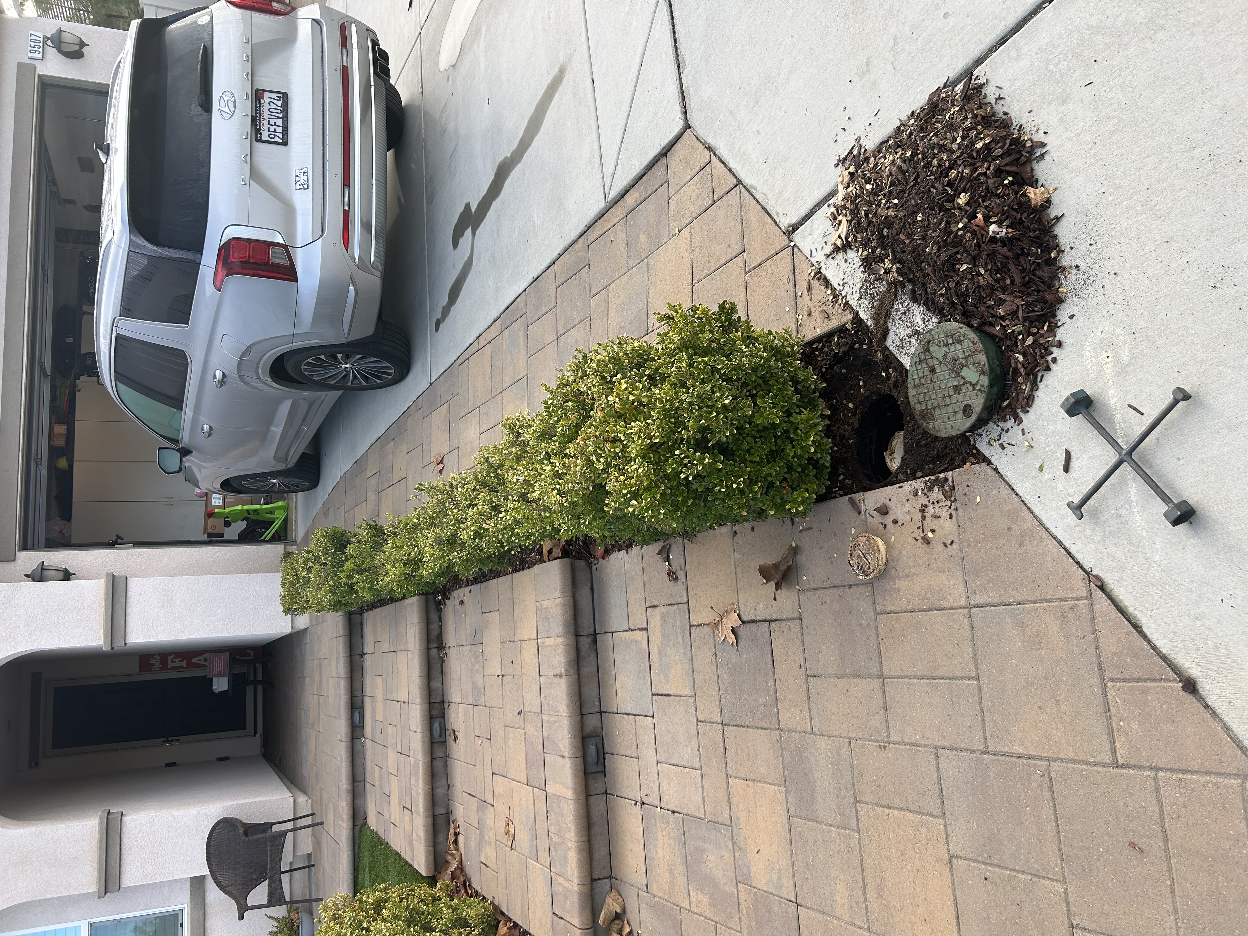 Sewer clean-out cap in a front yard garden bed