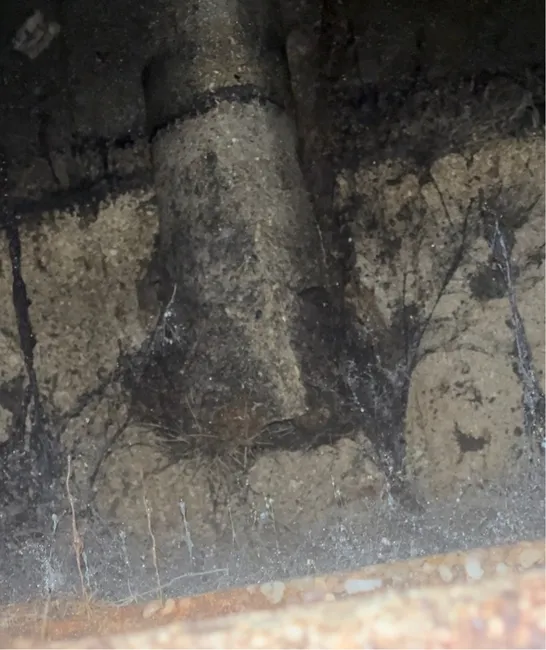 A main line issue was diagnosed and expertly repaired, restoring the septic system's optimal function.