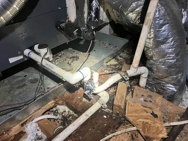 Job in Round Rock