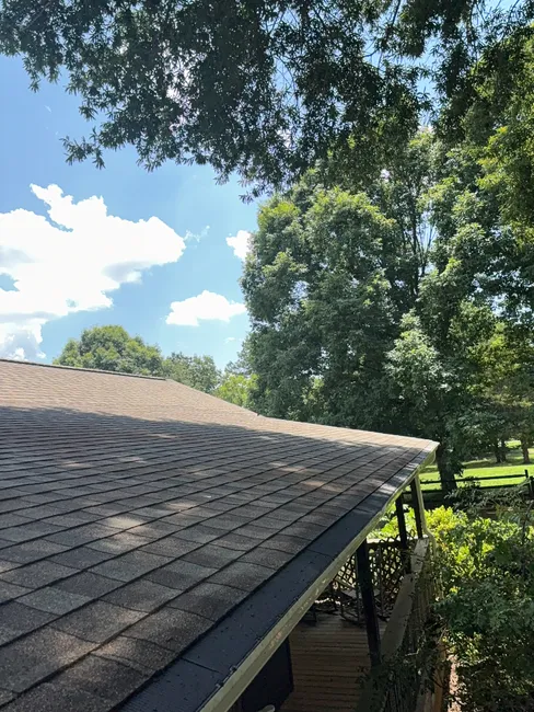 Clogged gutters were cleared of leaves and debris, ensuring efficient water flow and preventing future damage.