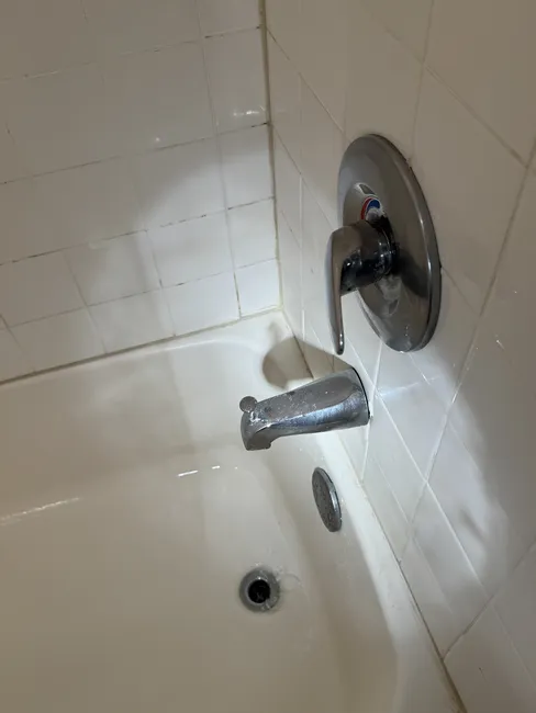 Remove & Replace Shower Cartridge