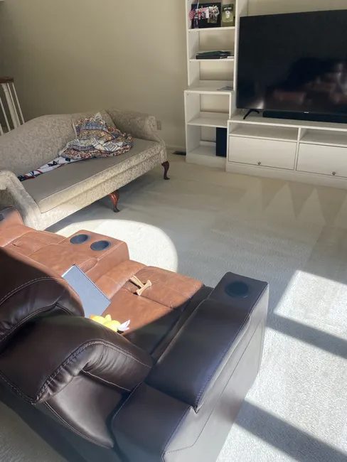 Carpet Cleaning And Pet Urine Treatment