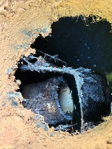 photo at Portland, TN on Jun 02, 2026: A thorough septic inspection was carried out in Portland. James initiated the process, examining th photo at Portland, TN on Jun 02, 2026: A thorough septic inspection was carried out in Portland. James initiated the process, examining th