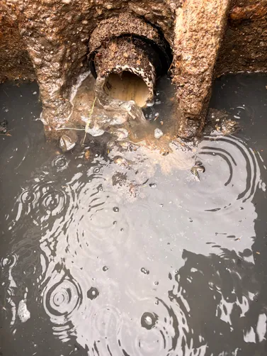 photo at Hendersonville, TN on May 26, 2026: A septic inspection was conducted to evaluate the low-pressure system at the property in Hendersonv photo at Hendersonville, TN on May 26, 2026: A septic inspection was conducted to evaluate the low-pressure system at the property in Hendersonv