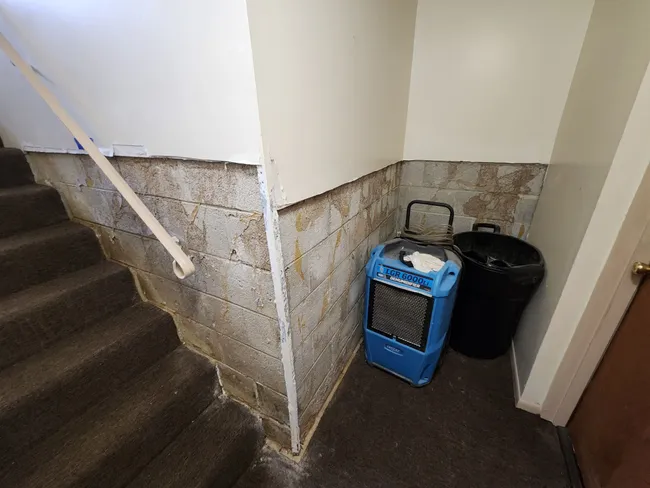 Water damage from an underground pipe break at a Brookhaven commercial property was swiftly addressed with our expert water mitigation and restoration services, ensuring the space was promptly dried and protected.