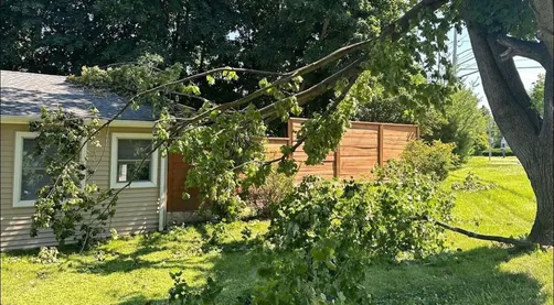 photo at Poughkeepsie, NY on Aug 03, 2023: A tree limb had broken and was leaning against the home, posing a risk of further damage. We safely