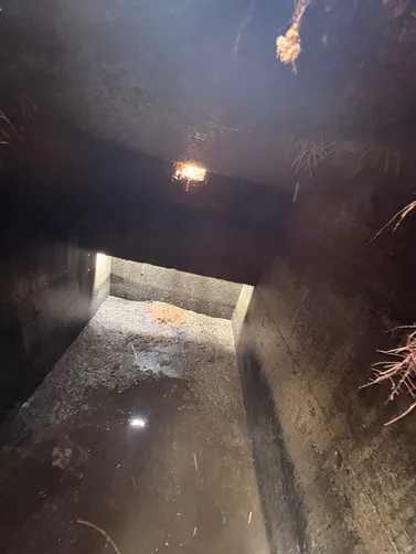 photo at Portland, TN on Apr 01, 2026: A septic inspection was conducted to evaluate the condition of the system at the Portland property. photo at Portland, TN on Apr 01, 2026: A septic inspection was conducted to evaluate the condition of the system at the Portland property.