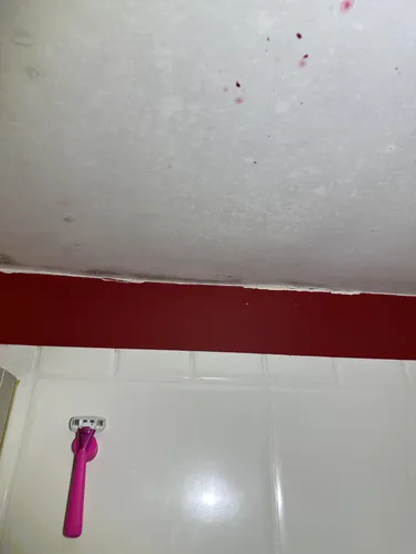 photo at Newton, KS on Sep 17, 2026: A thorough mold evaluation was performed in Newton to assess the property for any potential mold is photo at Newton, KS on Sep 17, 2026: A thorough mold evaluation was performed in Newton to assess the property for any potential mold is