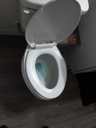 photo at Houston, TX on Dec 08, 2025: We resolved a significant clog in the guest bathroom toilet, which was causing major disruptions. E