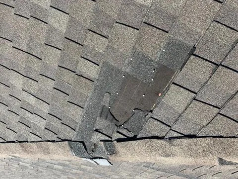 Shingle Roof Replacement