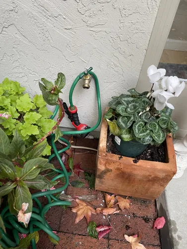 photo at Walnut Creek, CA on May 13, 2026: A leaking hose bib outside was causing concern for the homeowner, necessitating urgent attention. W