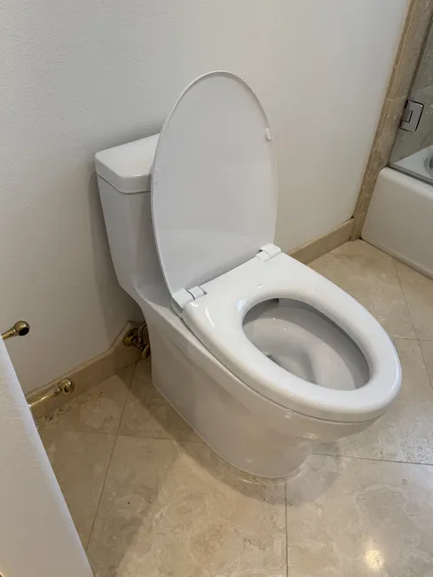 Toilet Replacement