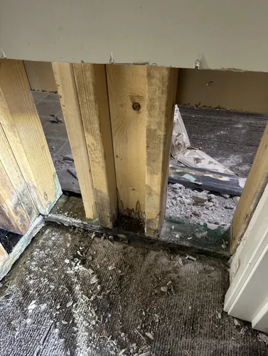 photo at Andover, KS on Oct 14, 2026: A leak behind the shower in a room required prompt attention as mold had developed due to prolonged