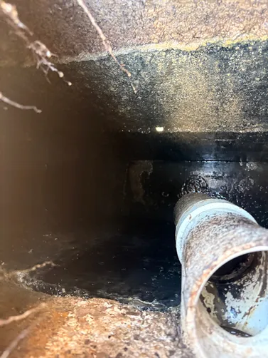 photo at Nashville, TN on Jun 05, 2026: A septic inspection was conducted to ensure the system's proper functioning. We pumped the septic s photo at Nashville, TN on Jun 05, 2026: A septic inspection was conducted to ensure the system's proper functioning. We pumped the septic s