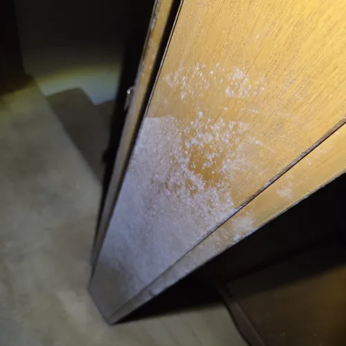 photo at Wichita, KS on Oct 07, 2026: A thorough evaluation was conducted to address mold concerns in a recently purchased home. After no