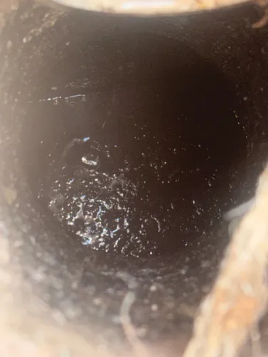 photo at Bethpage, TN on Jul 02, 2026: A septic tank needed servicing to ensure it was operating correctly. We pumped the septic tank and photo at Bethpage, TN on Jul 02, 2026: A septic tank needed servicing to ensure it was operating correctly. We pumped the septic tank and