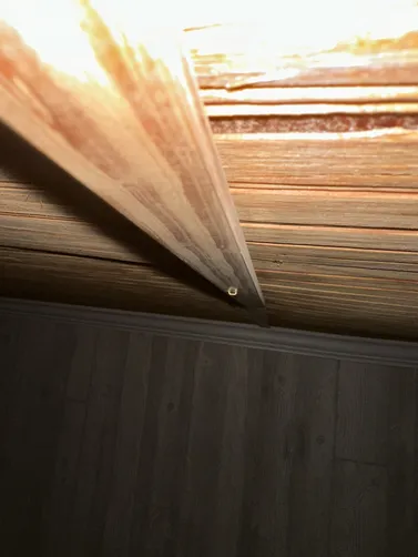 photo at Wichita, KS on Aug 24, 2026: A mold evaluation was conducted in a vacant home where mold presence was suspected on both the main photo at Wichita, KS on Aug 24, 2026: A mold evaluation was conducted in a vacant home where mold presence was suspected on both the main