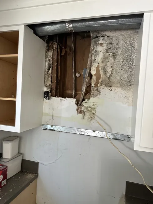 Mitigation & Repair Post Water Leak