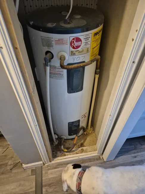 Job in New Haven