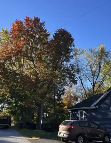 photo at Poughkeepsie, NY on Oct 18, 2024: A large damaged limb from a maple tree was overhanging the home and property, posing a safety risk 