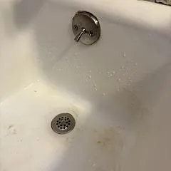 Tub/Shower Waste And Overflow Replacement