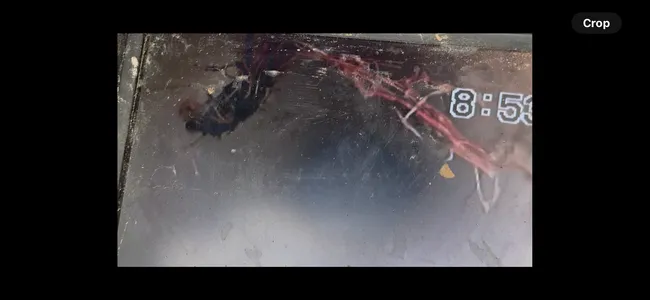 Camera Inspection That Located Broken Drain Line