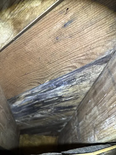 photo at Derby, KS on Sep 16, 2026: A mold evaluation was requested due to suspected mold growth in the crawlspace. We conducted a thor photo at Derby, KS on Sep 16, 2026: A mold evaluation was requested due to suspected mold growth in the crawlspace. We conducted a thor
