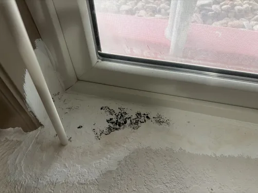 photo at Wichita, KS on Sep 25, 2026: A mold evaluation was conducted due to the discovery of mold inside one of the basement windows in photo at Wichita, KS on Sep 25, 2026: A mold evaluation was conducted due to the discovery of mold inside one of the basement windows in