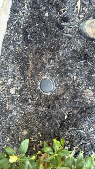 Termite Treatment