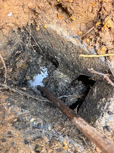 photo at Carthage, TN on Jun 29, 2026: A septic tank needed to be pumped to ensure it was functioning properly. We dug to locate the tank photo at Carthage, TN on Jun 29, 2026: A septic tank needed to be pumped to ensure it was functioning properly. We dug to locate the tank