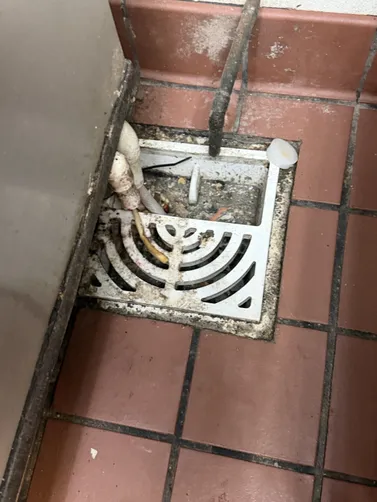 photo at Tulsa, OK on Jul 01, 2026: A plumbing issue arose that required immediate attention in Tulsa. We assessed the situation and pr photo at Tulsa, OK on Jul 01, 2026: A plumbing issue arose that required immediate attention in Tulsa. We assessed the situation and pr