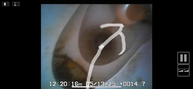 Toilet Not Flushing