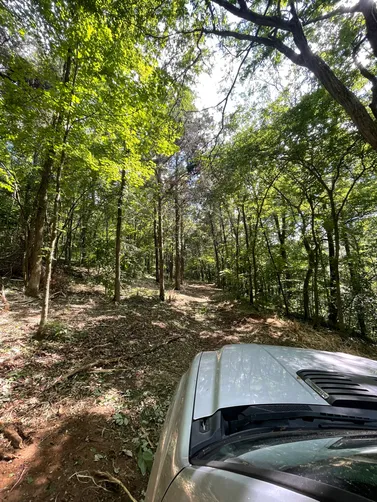 photo at Goodlettsville, TN on Jun 26, 2026: A mulching project was completed using a Bobcat 870 equipped with a mulching attachment. This proce photo at Goodlettsville, TN on Jun 26, 2026: A mulching project was completed using a Bobcat 870 equipped with a mulching attachment. This proce
