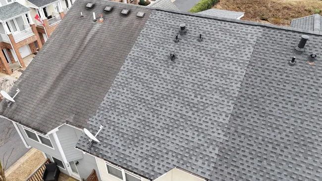 Job in Milton