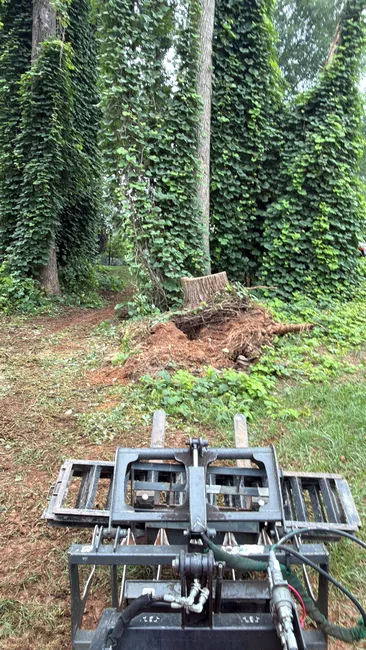Job in Summerfield