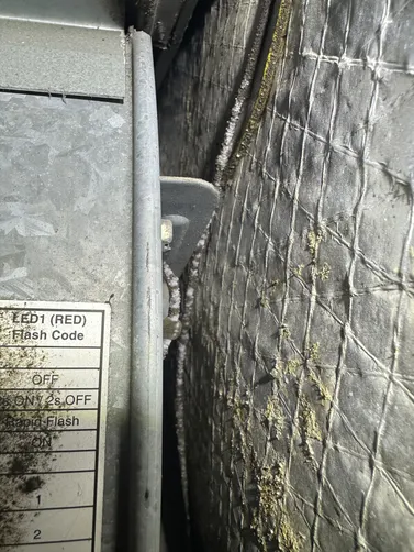 photo at Newton, KS on Sep 30, 2026: The inspection of the air ducts revealed visible mold throughout the home. We conducted a thorough photo at Newton, KS on Sep 30, 2026: The inspection of the air ducts revealed visible mold throughout the home. We conducted a thorough