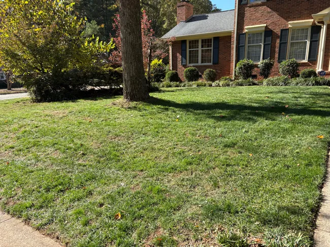 Job in Greensboro