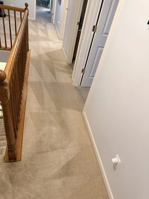 Carpet Cleaning